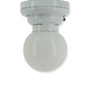 Plafonnier LED Globe Blanc