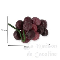 70053-bis grappes de raisin rouge