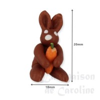 70524-bis lapin en chocolat avec carotte