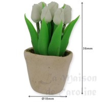 75732-bis pot de tulipes blanc