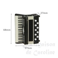 76948bis accordeon avec coffret noir