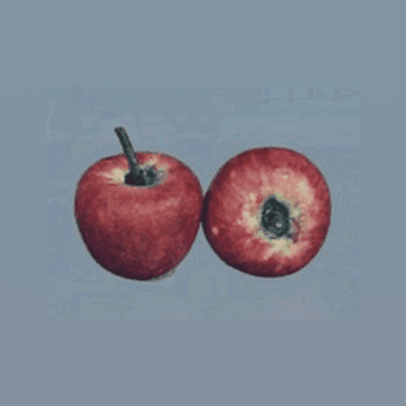 Fruit céramique pomme rouge, Miniatures