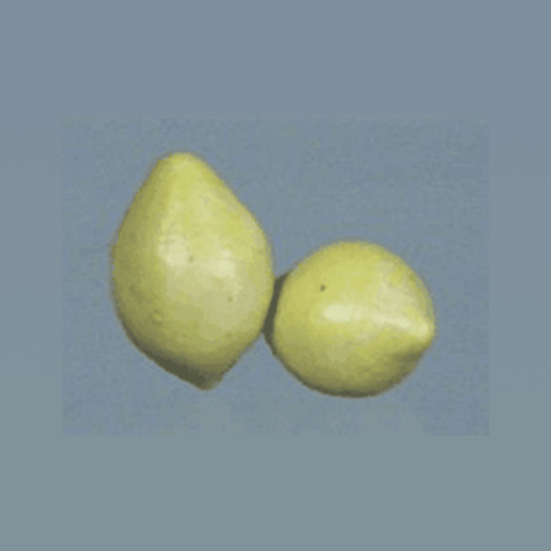 Fruit céramique citron, Miniatures