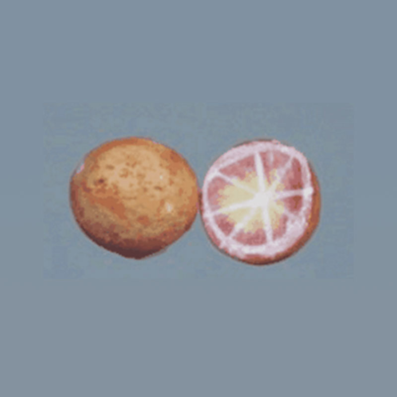 Fruit céramique demi pamplemousse, Miniatures