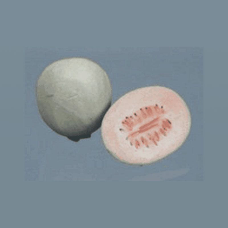 Fruit céramique melon, Miniatures