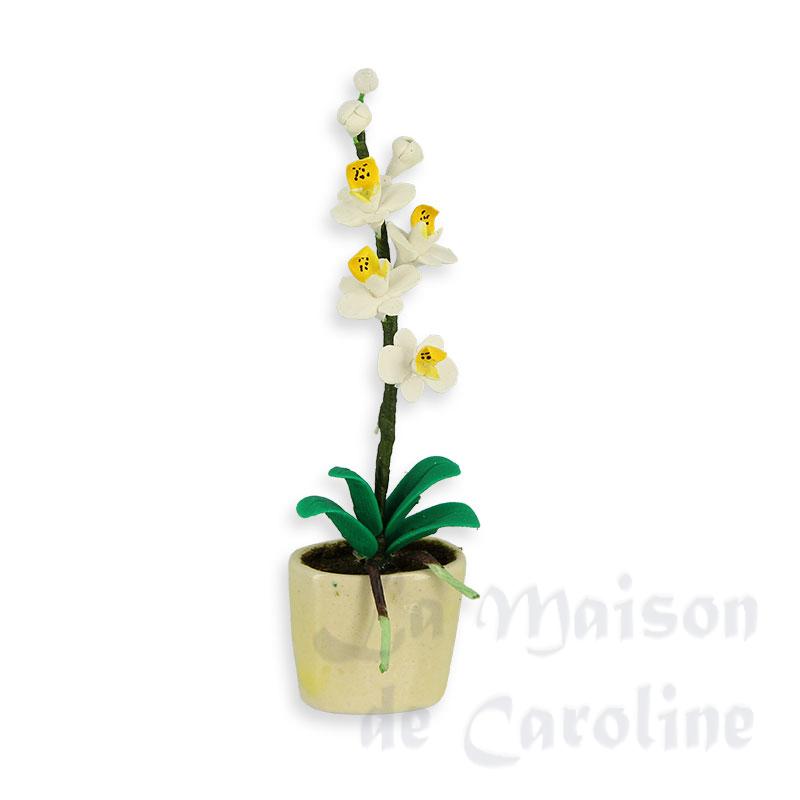Orchidée blanche dans pot oval beige, Miniatures