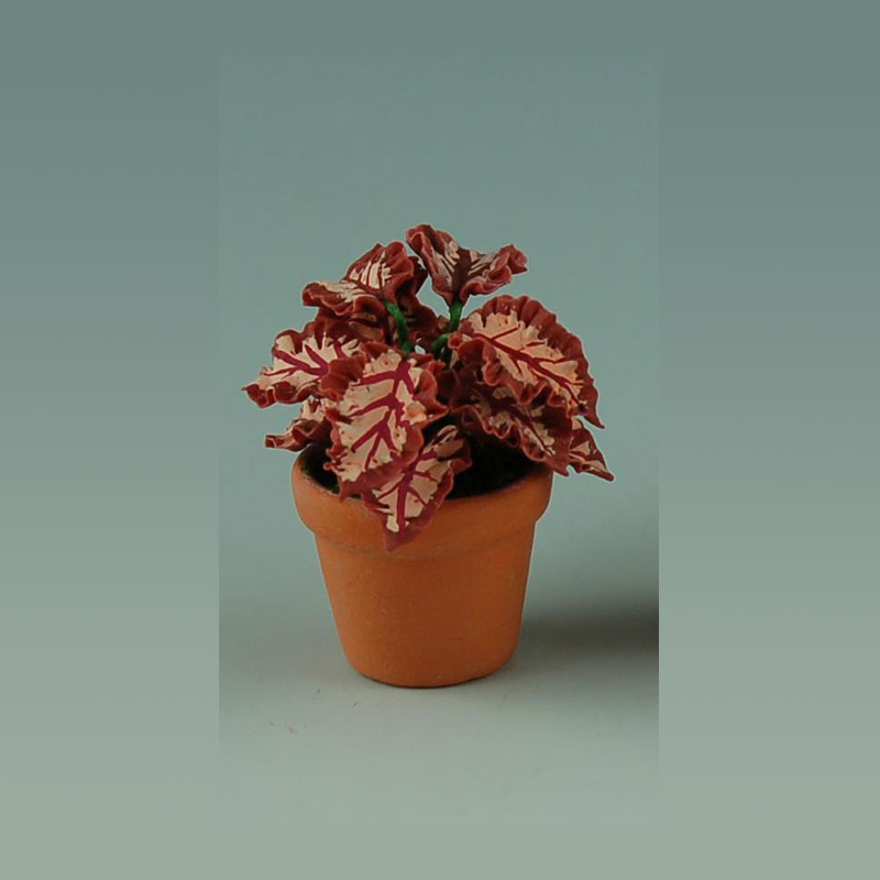 Acheter 1:12 Mini plantes en Pot, Pot de fleurs, maison de poupée