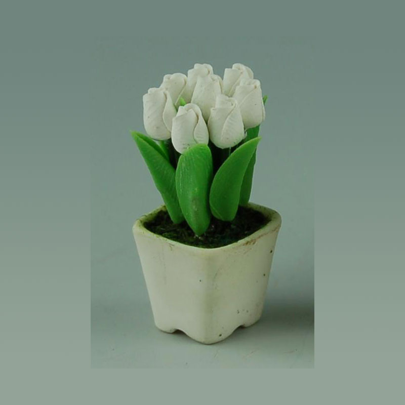 Pot de tulipes blanc, Jardin