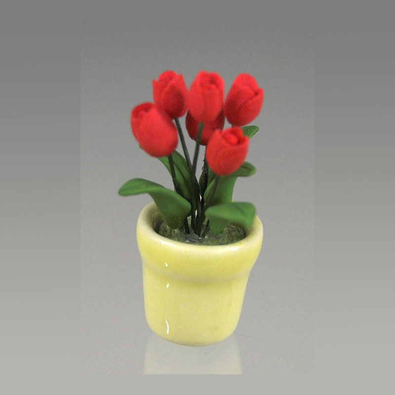 Tulipes rouges dans pot, Jardin
