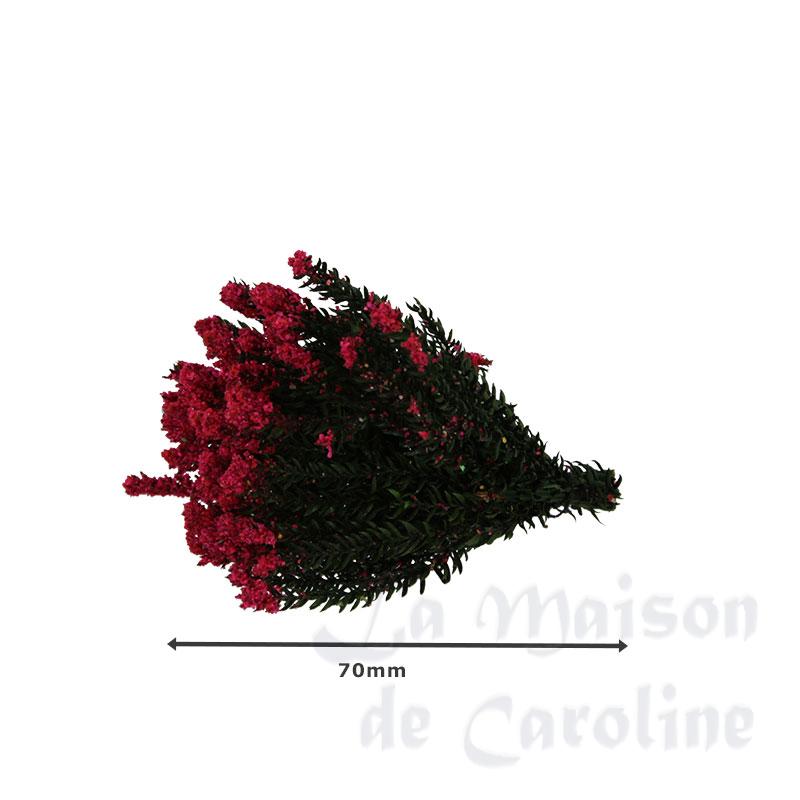 3 buissons fleuris rouge, rose et jaune Bilder 1