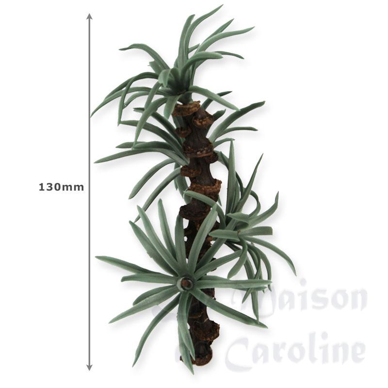 Yucca 13cm Bilder 1