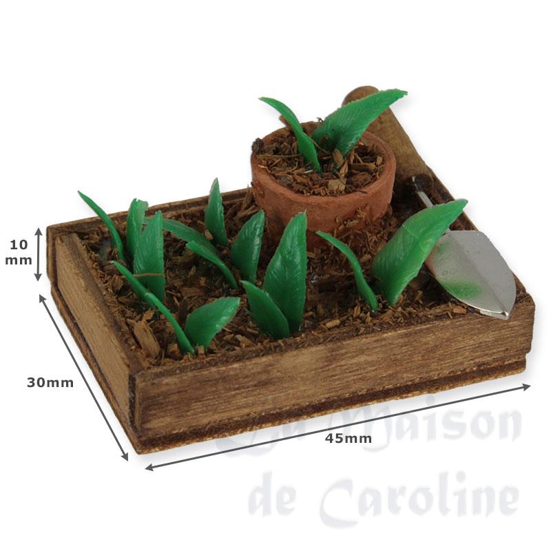Carré potager Bilder 1