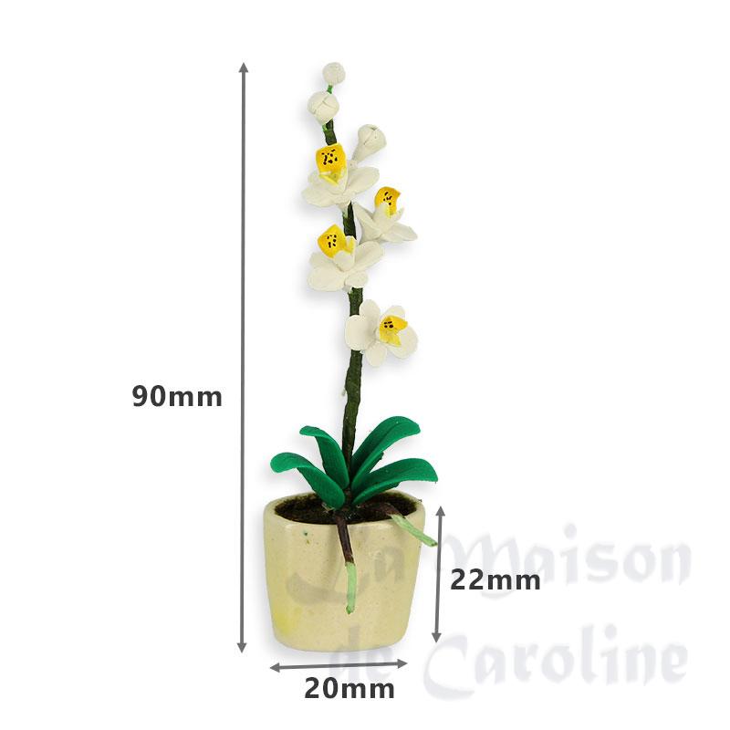 orchidée blanche dans pot oval beige miniature 1:12e Bilder 1