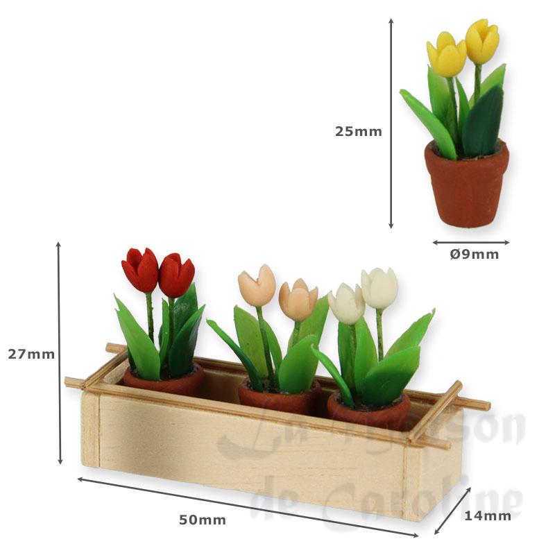 Jardinière avec 4 pots de tulipes Bilder 1