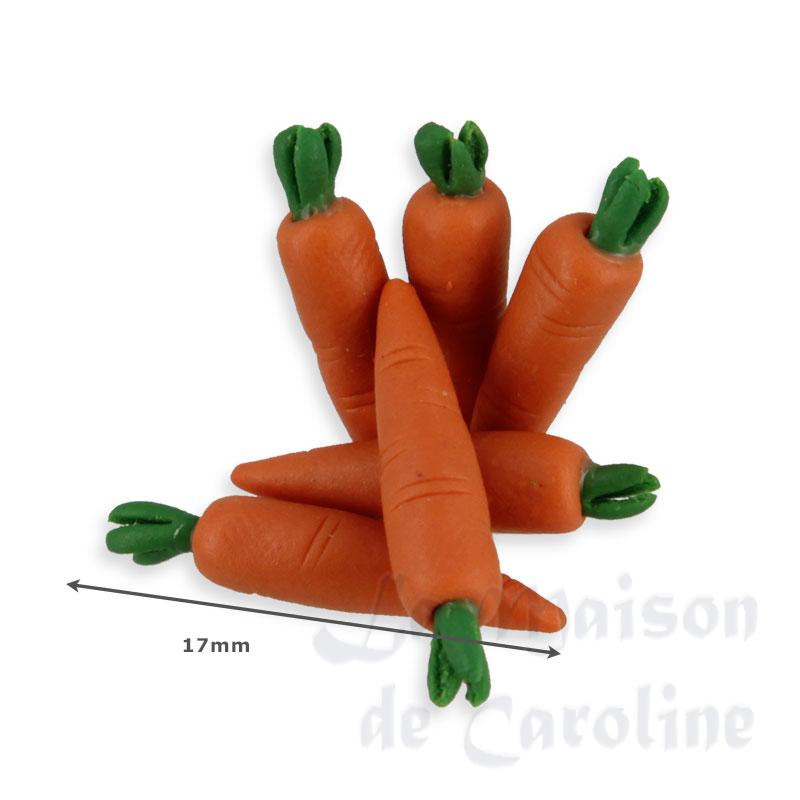 Légumes 6 carottes Bilder 1