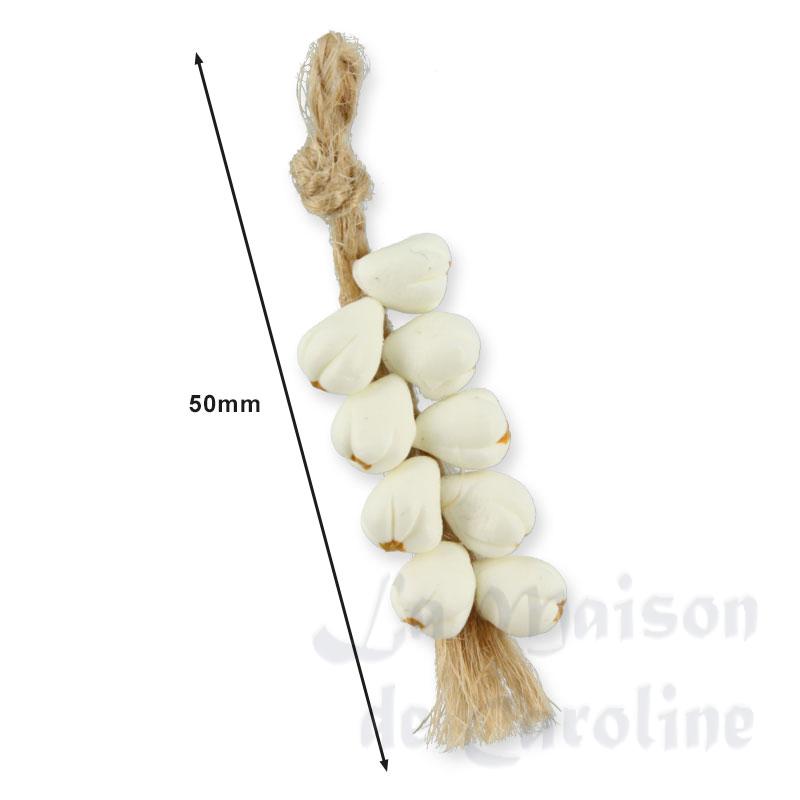 Ail en tresse Bilder 1