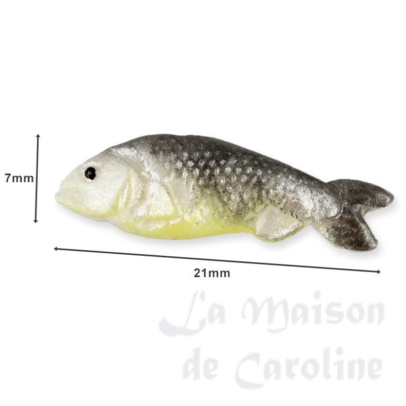 Poisson Bilder 1
