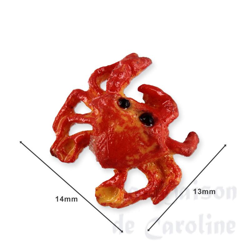 Crabe Bilder 1