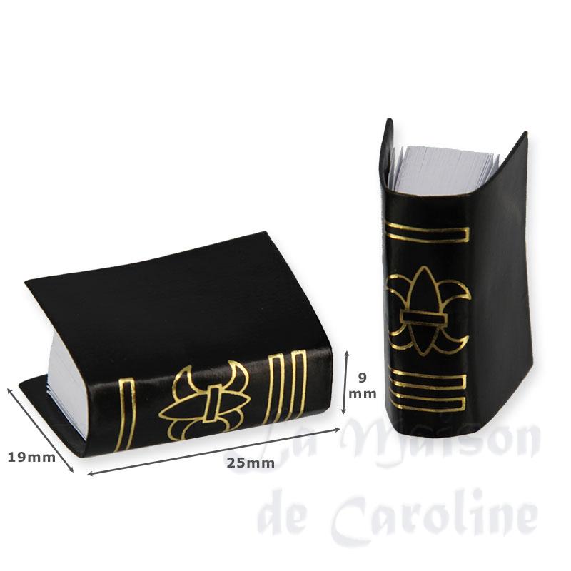 2 Grands livres Bilder 1
