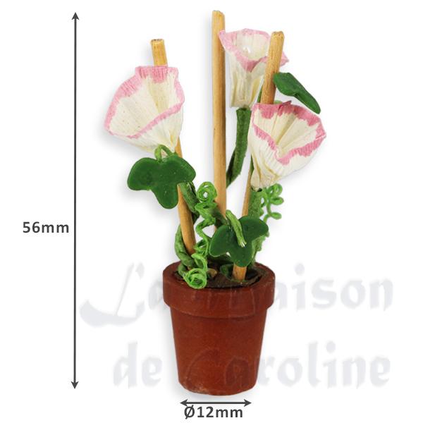 Pot de fleur Belle de jour 1/12 photo 2