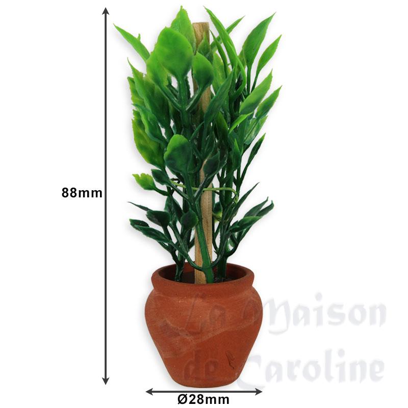 Pot en terre cuite avec plante verte Bilder 1