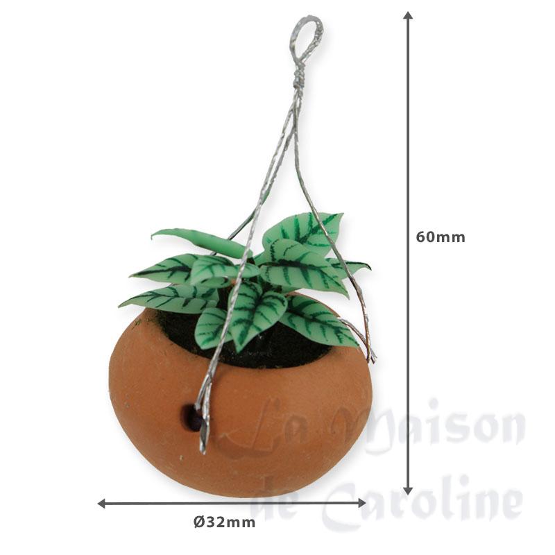 Pot suspendu plante verte chiné Bilder 1