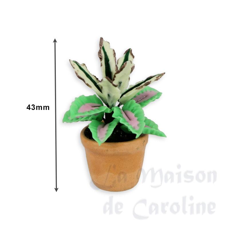 pot plante verte miniature 1:12e Bilder 1