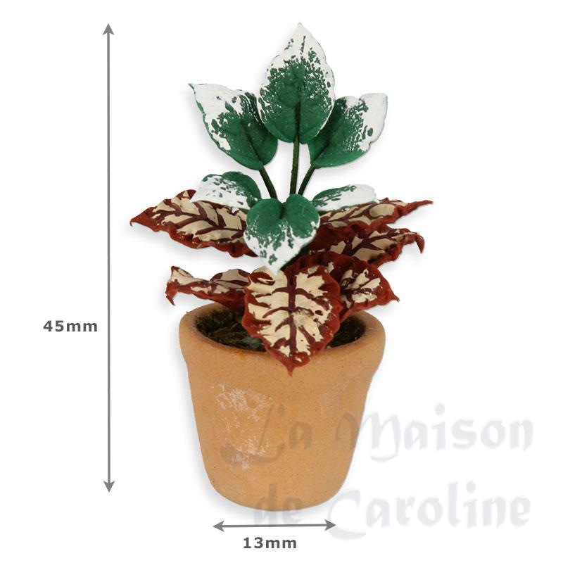 pot plante verte miniature 1:12e Bilder 1