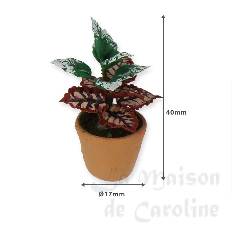 plante verte en pot assortie 1pc miniature 1:12e Bilder 1