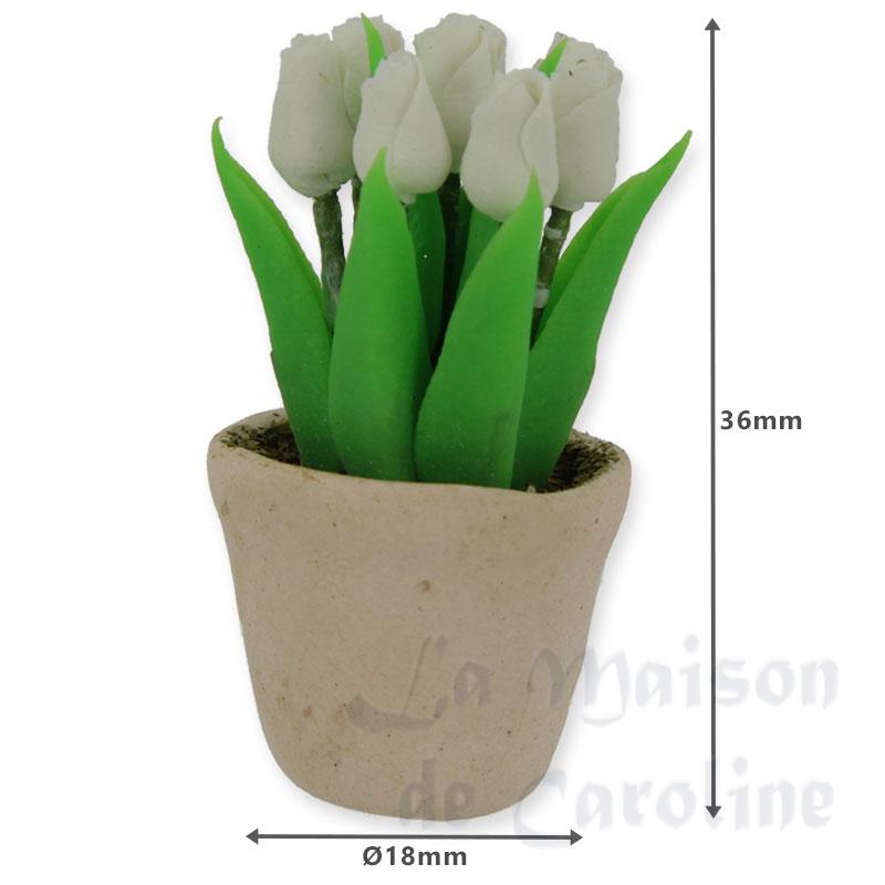 pot de tulipes blanc miniature 1:12e Bilder 1