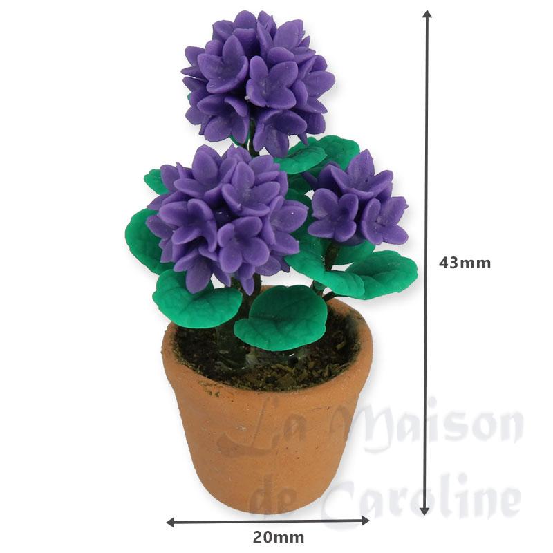 hortensia mauve miniature 1:12 Bilder 1