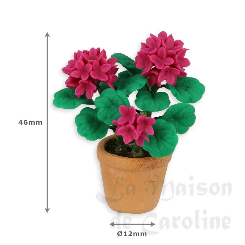 hortensia rose miniature 1:12 Bilder 1