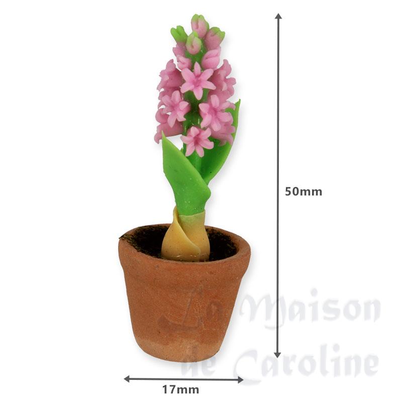 pot de jacinthe rose miniature 1:12 Bilder 1