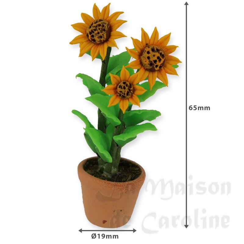tournesols en pot miniature 1:12 Bilder 1