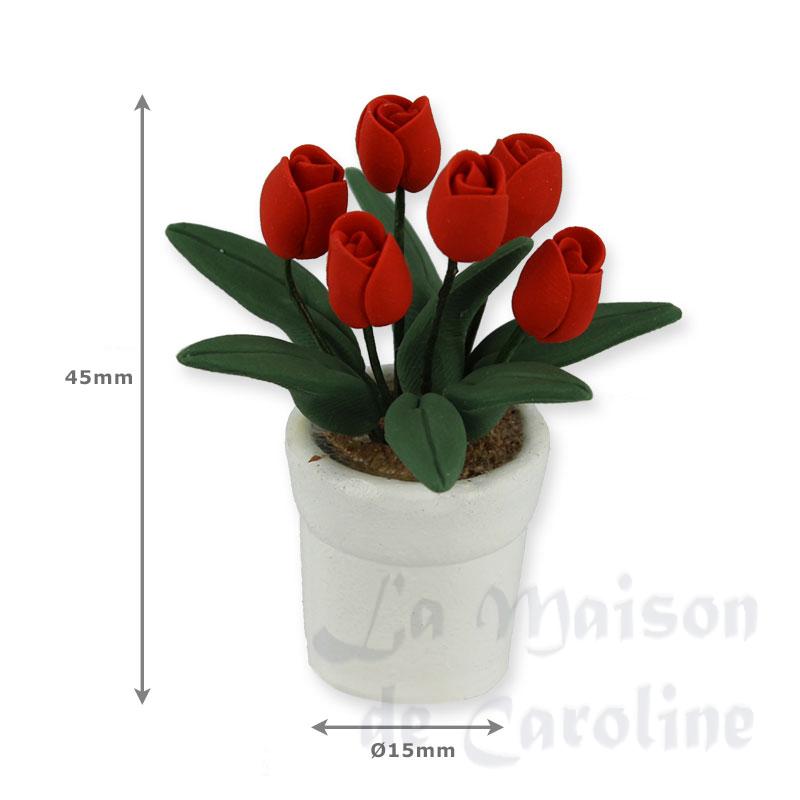 Tulipes rouges dans pot Bilder 1