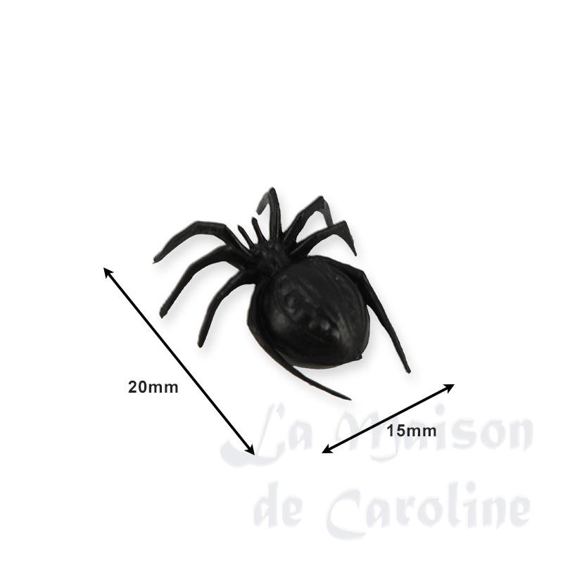 Araignée Bilder 1