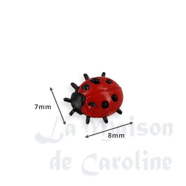 Coccinelle miniature 1/12 photo 2