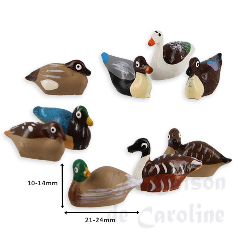 Canard peint 1/12 photo 2 Canard peint 1/12 photo 2