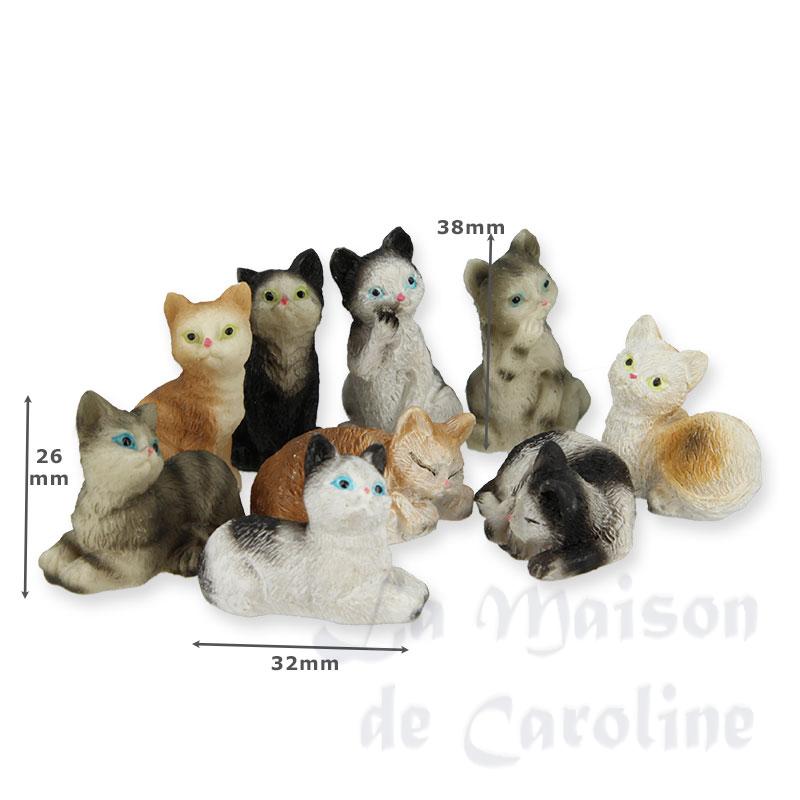 Chat assortis miniature 1/12e Bilder 1