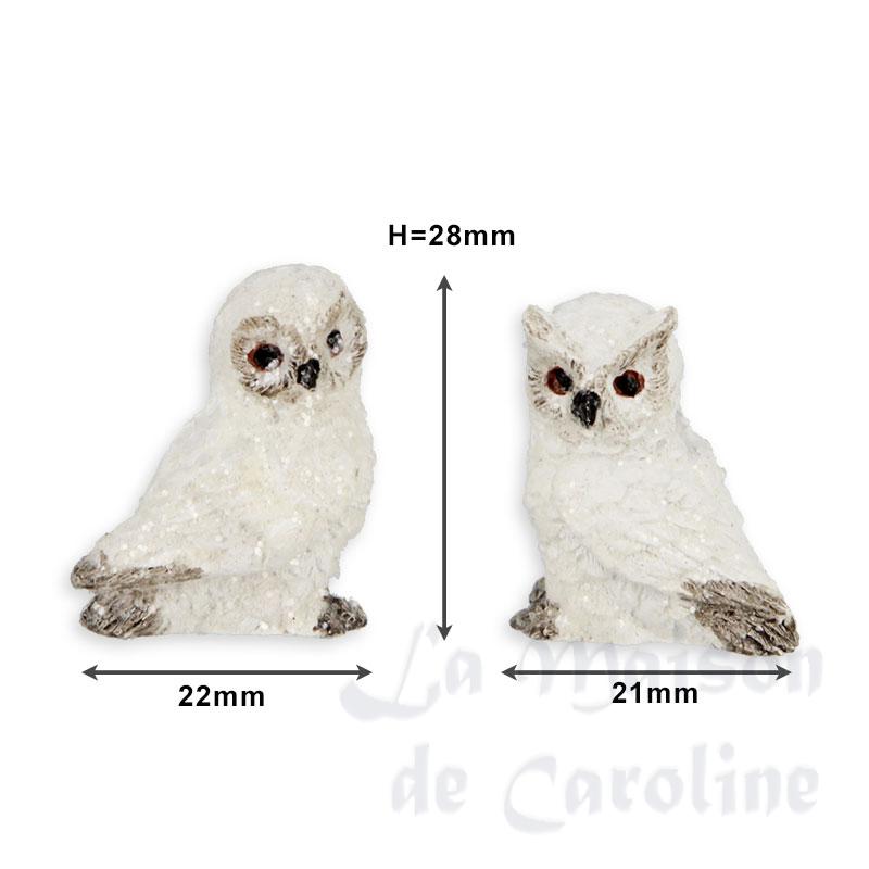 Hibou des neiges ass. Bilder 1