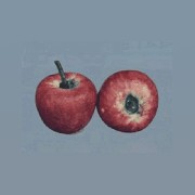 Fruit céramique pomme rouge