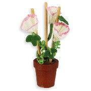 Pot de fleur Belle de jour miniature 1/12