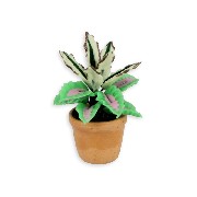 pot plante verte miniature 1:12e