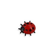 Coccinelle miniature 1/12