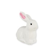 Lapin blanc