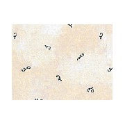 Papier peint imprimé marbré ivoire rose pour maisons de poupées 1/12