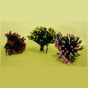 3 buissons fleuris