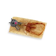 Tapette à souris 1/12