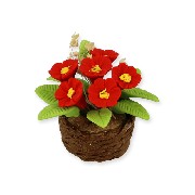 Fleurs rouges dans panier