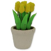 Pot de tulipes jaunes